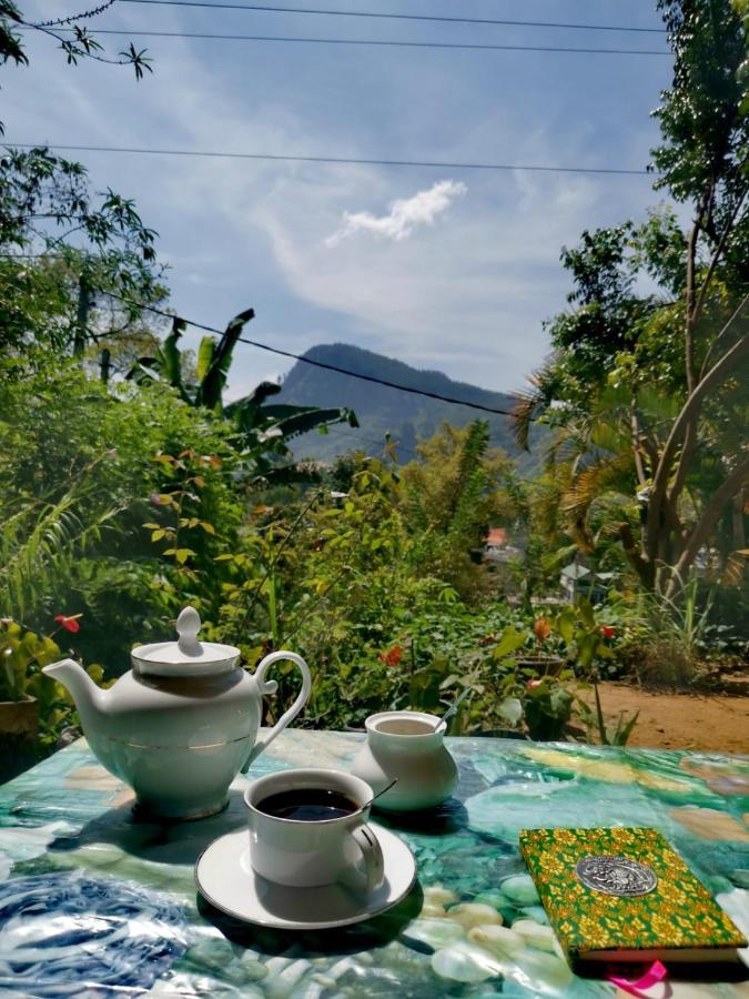 Eden View Ella - Tour Options In The Area Ξενοδοχείο Εξωτερικό φωτογραφία