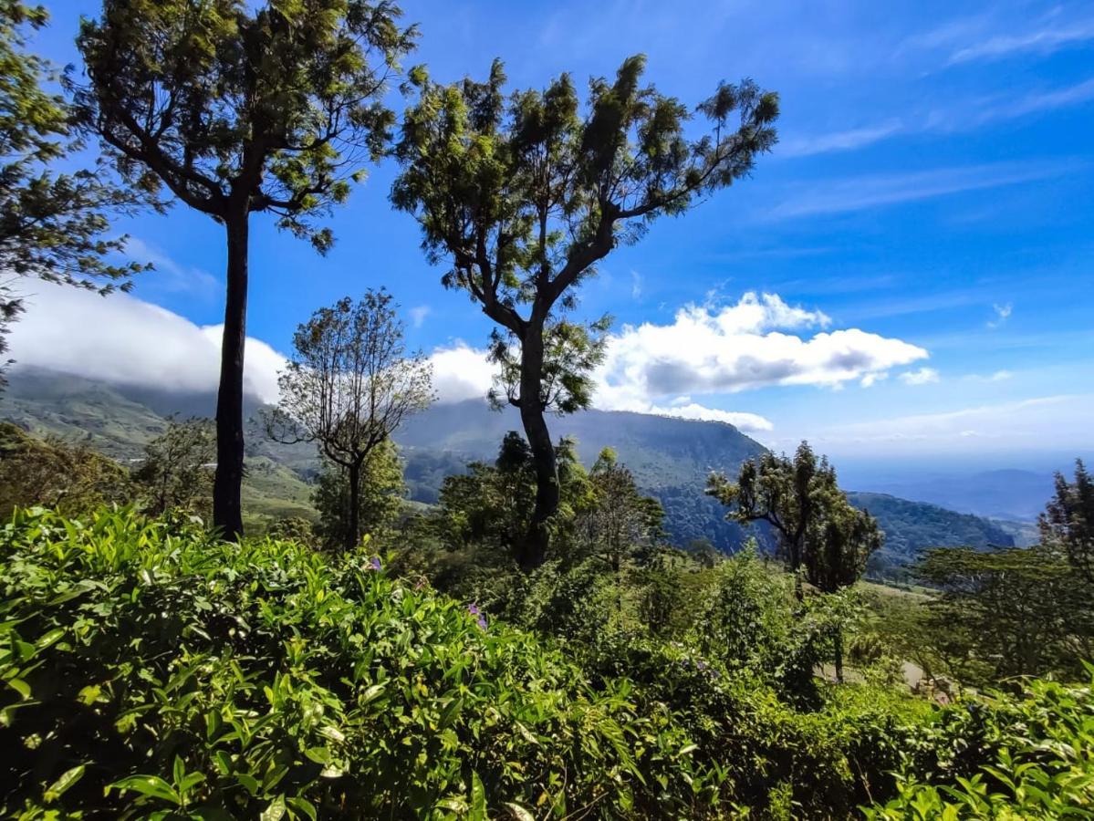 Eden View Ella - Tour Options In The Area Ξενοδοχείο Εξωτερικό φωτογραφία