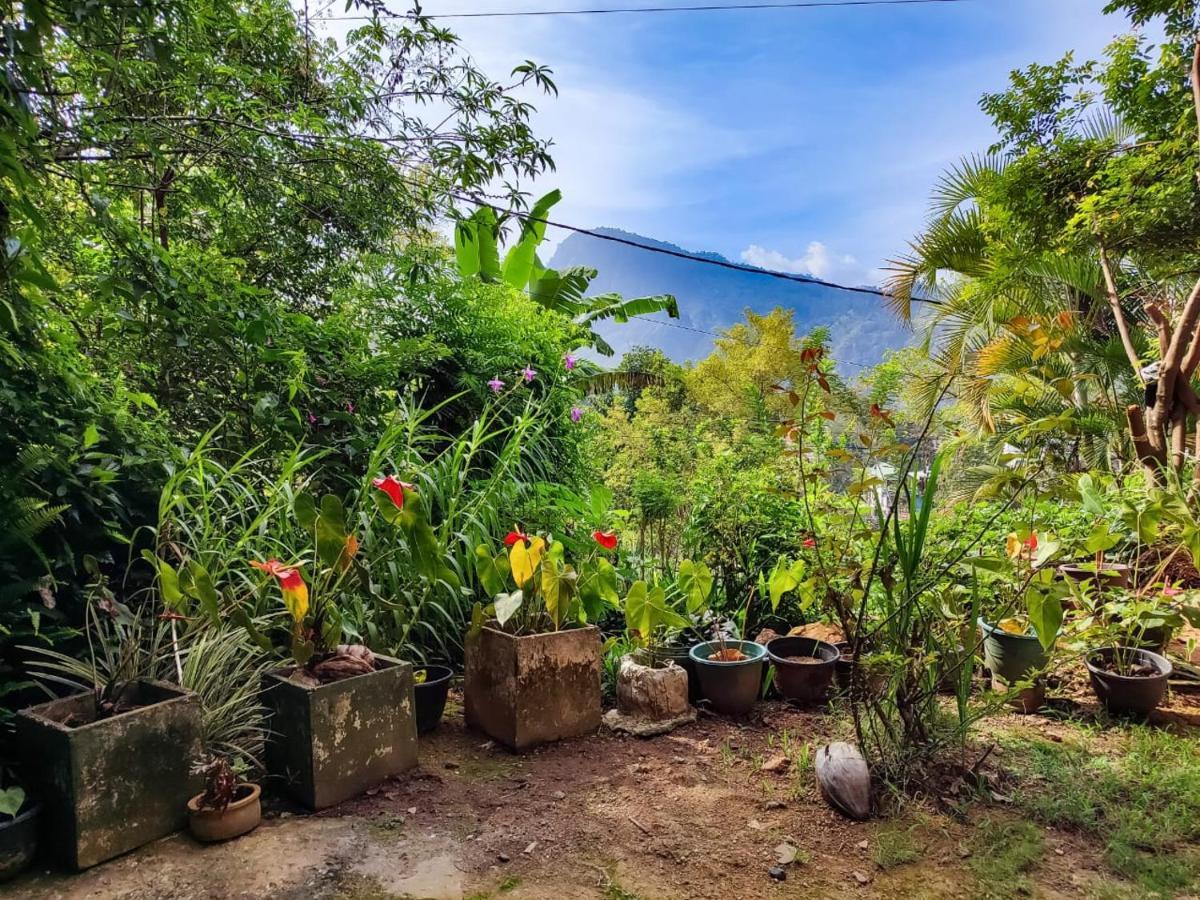 Eden View Ella - Tour Options In The Area Ξενοδοχείο Εξωτερικό φωτογραφία